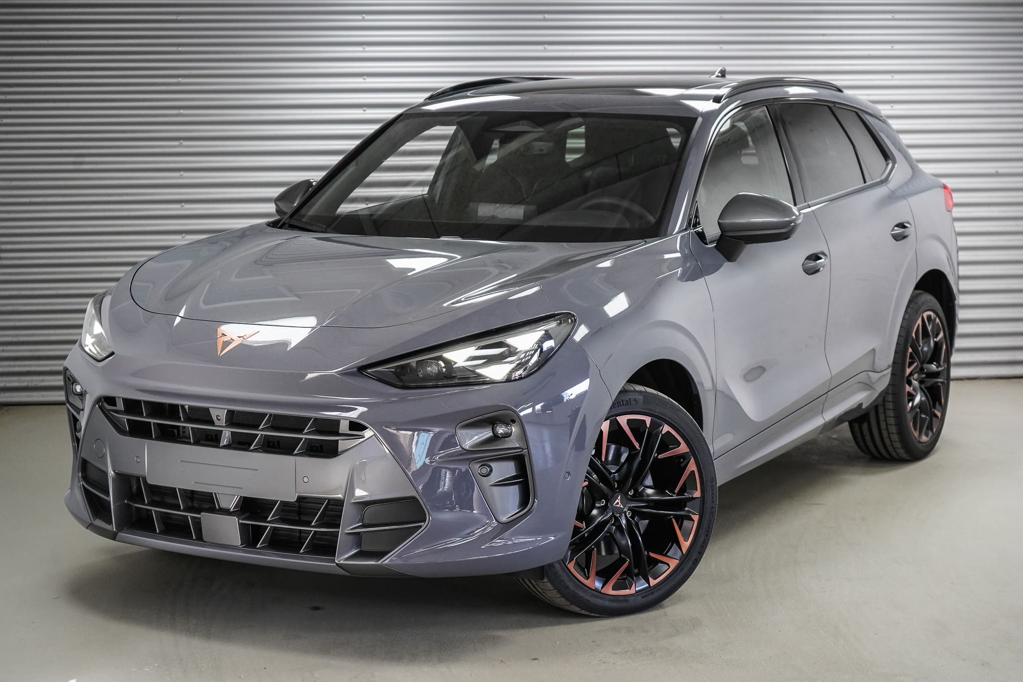 Foto vom Cupra Terramar 2,0 TSI DSG 4Drive 